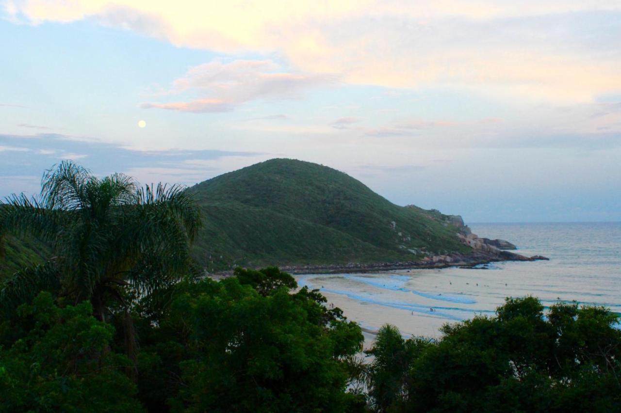Chales Vale Da Lua - Praia Do Rosa Eksteriør billede